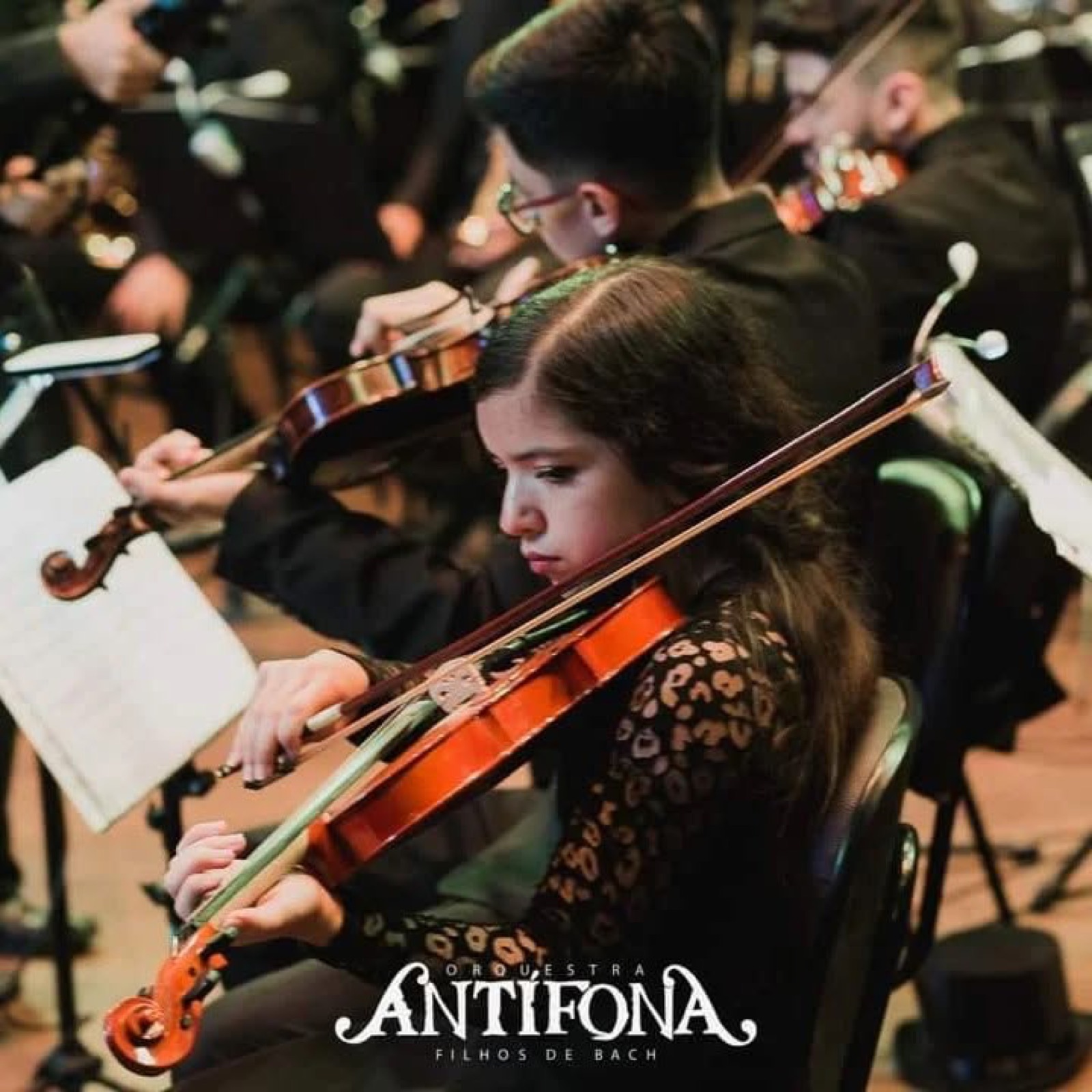 Violinos