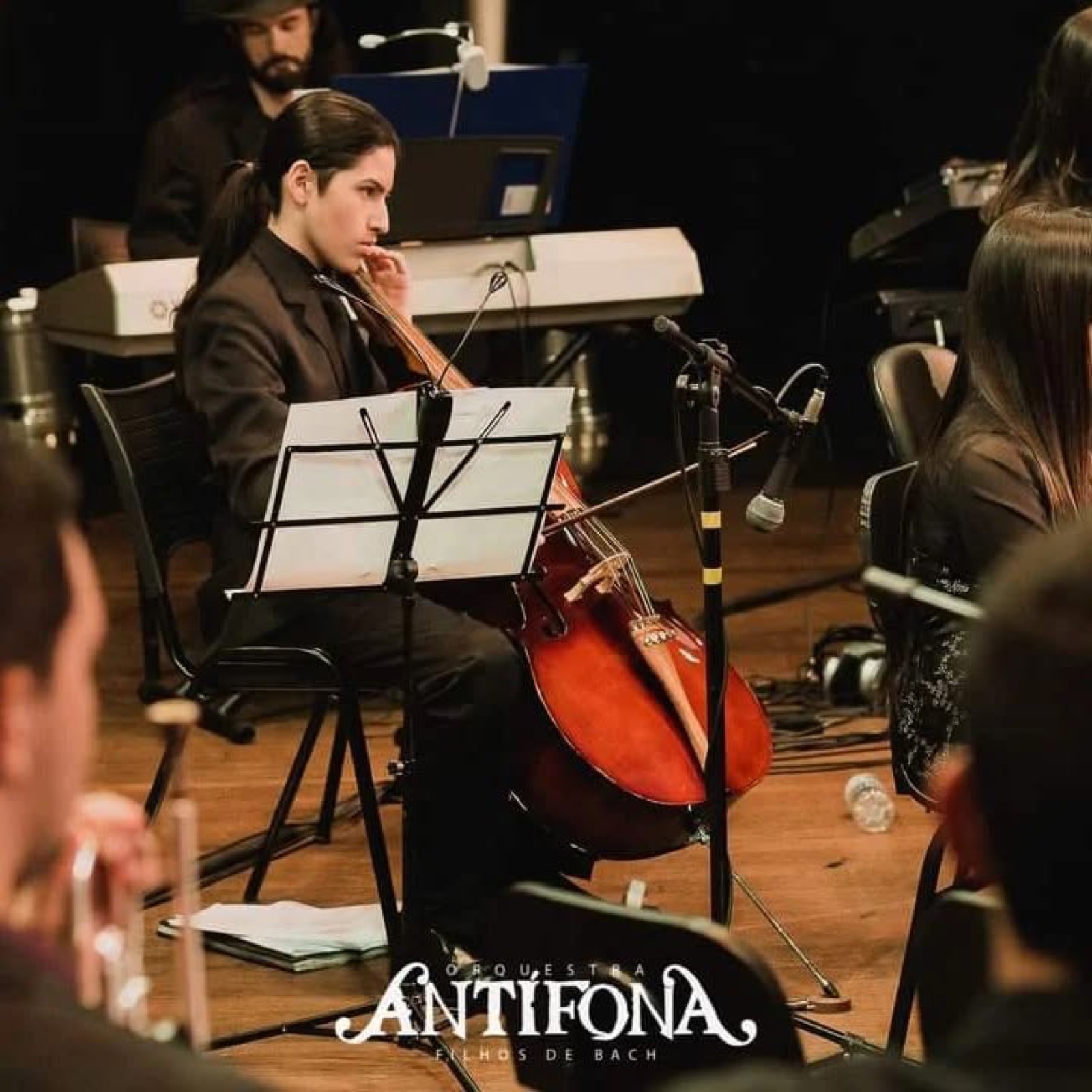 Violoncelos